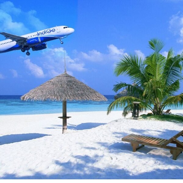 GOA